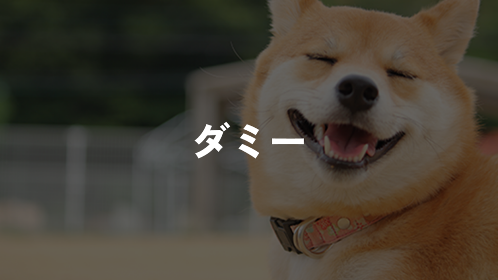 記事のスタイル調整用の投稿です。